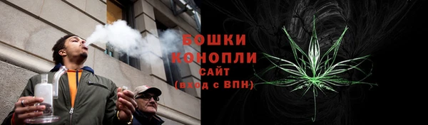 гидра Пересвет