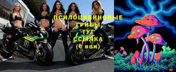 мескалин Осташков