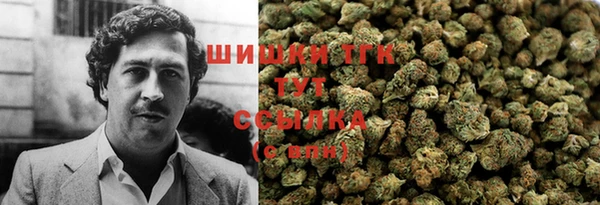 МДПВ Пестово